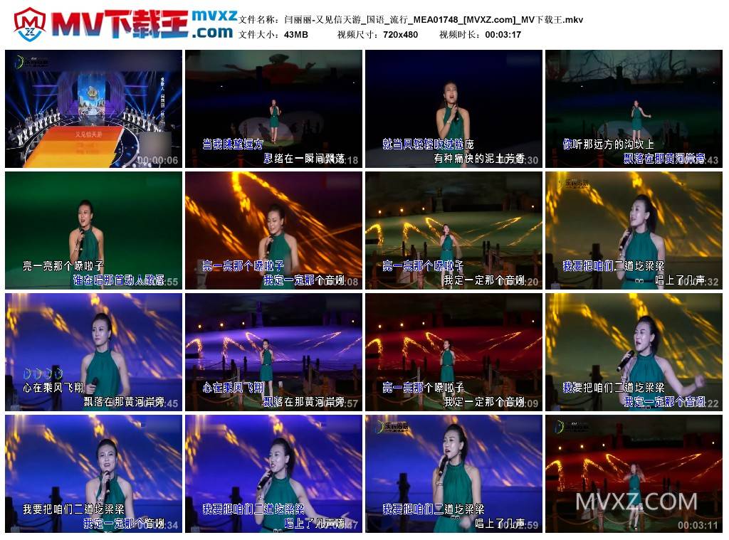闫丽丽-又见信天游_国语_流行_MEA01748